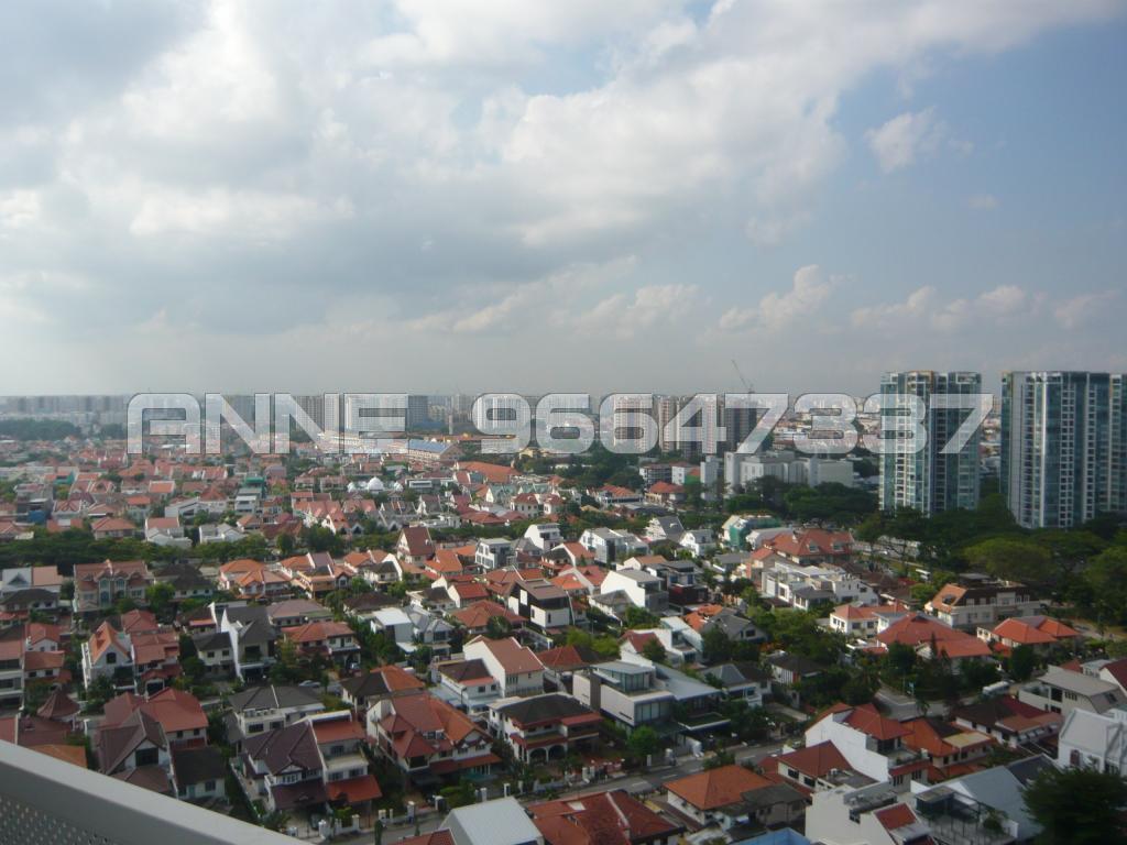 Peach Garden (D15), Apartment #81060812